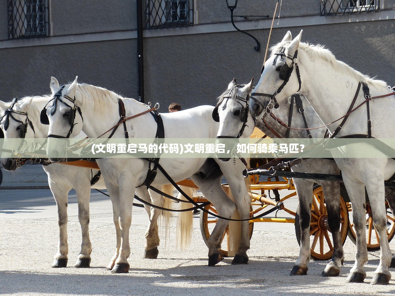 (小浣熊神兵卡)小浣熊神兵列传论坛，深度解析与常见问题解答