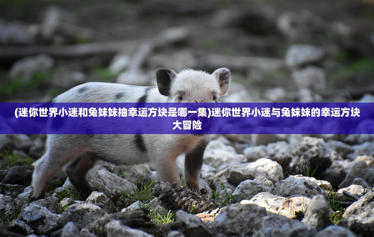 (天御乾坤攻略图文大全)御乾坤攻略图文详解，全方位攻略助你轻松登顶