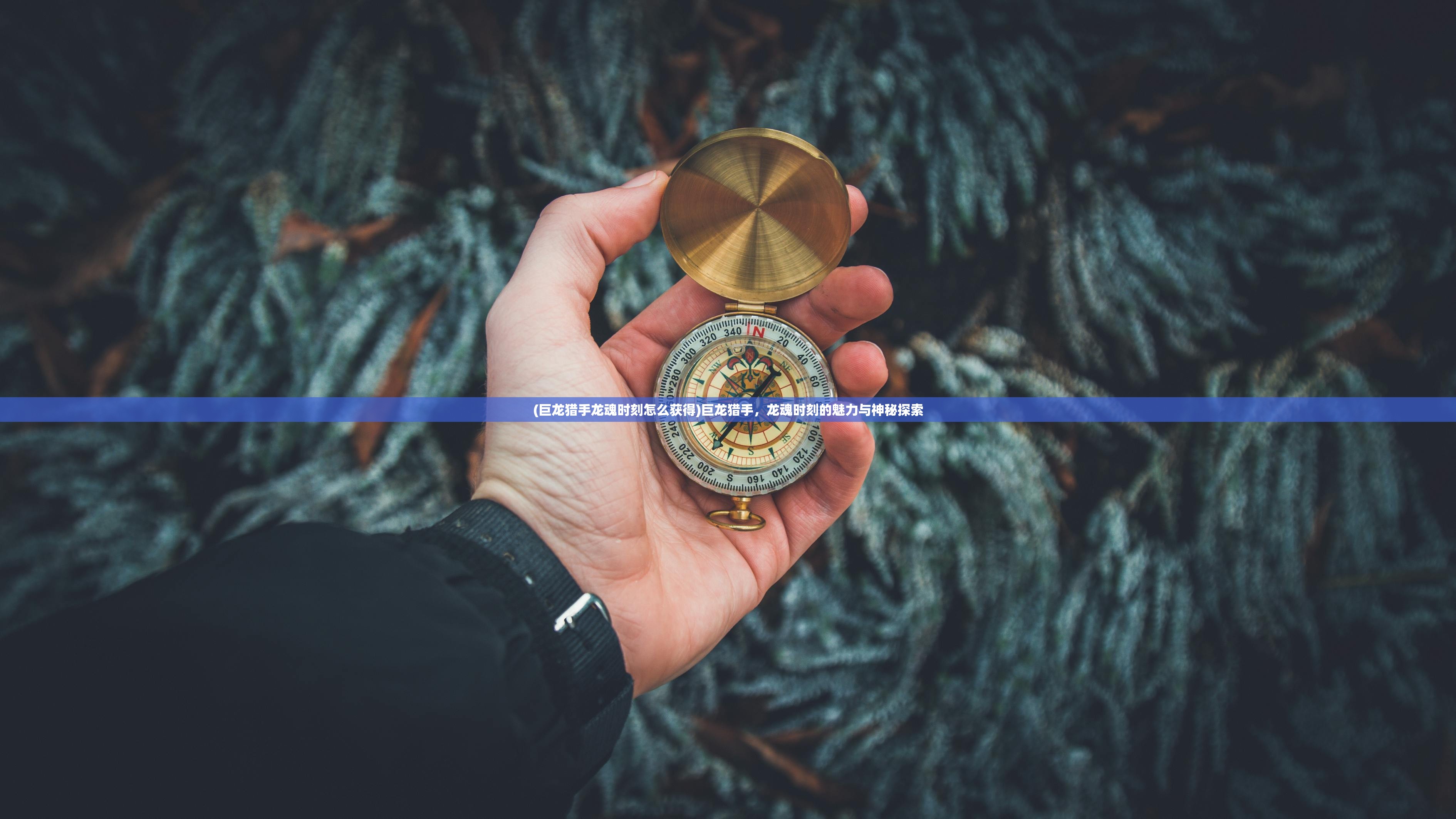 (全民西游还能玩吗知乎)全民西游还能玩吗,游戏现状分析与展望 (全民西游还能玩吗知乎)全民西游还能玩吗,游戏现状分析与展望