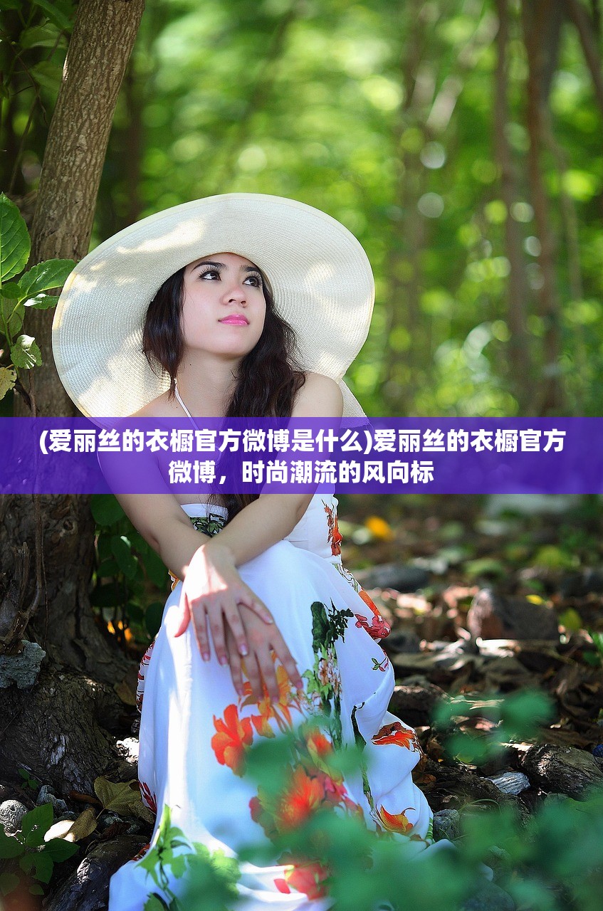 (远征军历史简介50字)远征军历史简介,英勇的征程与不朽的功勋 (远征军历史简介50字)远征军历史简介,英勇的征程与不朽的功勋