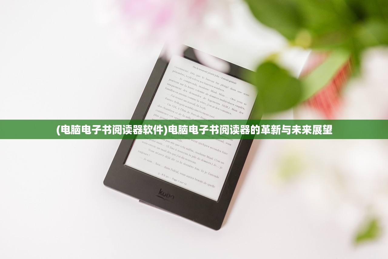 (电脑电子书阅读器软件)电脑电子书阅读器的革新与未来展望 (电脑电子书阅读器软件)电脑电子书阅读器的革新与未来展望