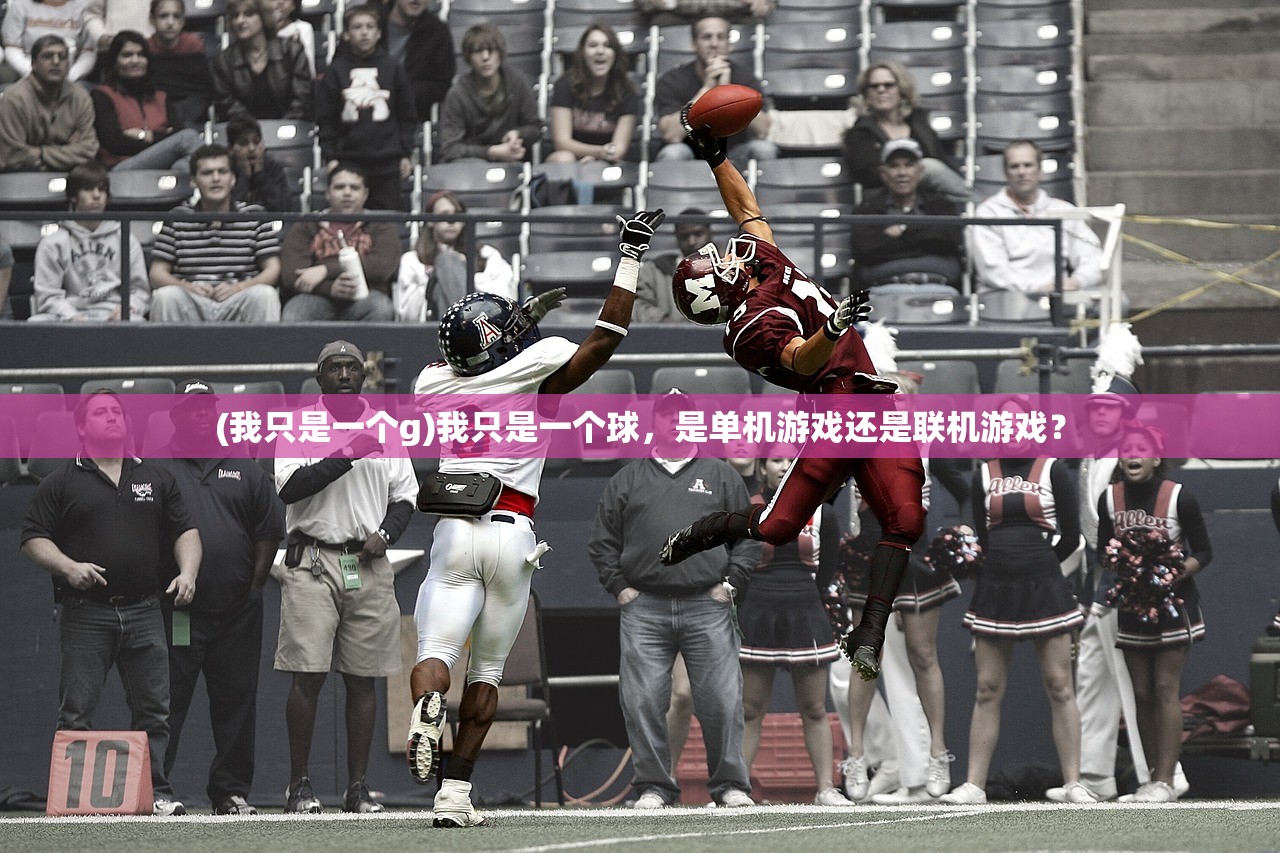 (我只是一个g)我只是一个球,是单机游戏还是联机游戏? (我只是一个g)我只是一个球,是单机游戏还是联机游戏?
