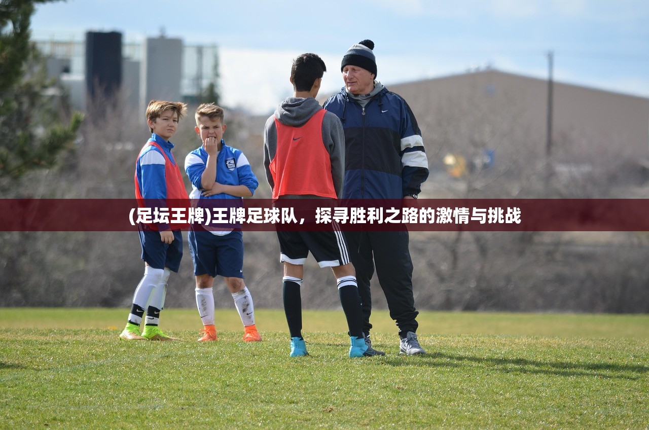 (足坛王牌)王牌足球队,探寻胜利之路的激情与挑战 (足坛王牌)王牌足球队,探寻胜利之路的激情与挑战