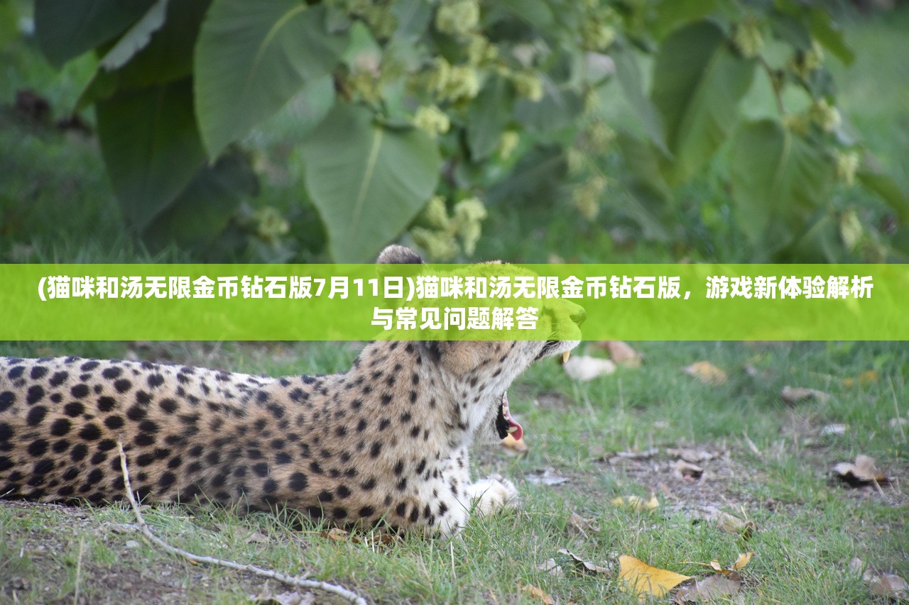 (战争艺术赤潮自走棋手游正版下载)战争艺术赤潮自走棋，策略与战术的完美结合