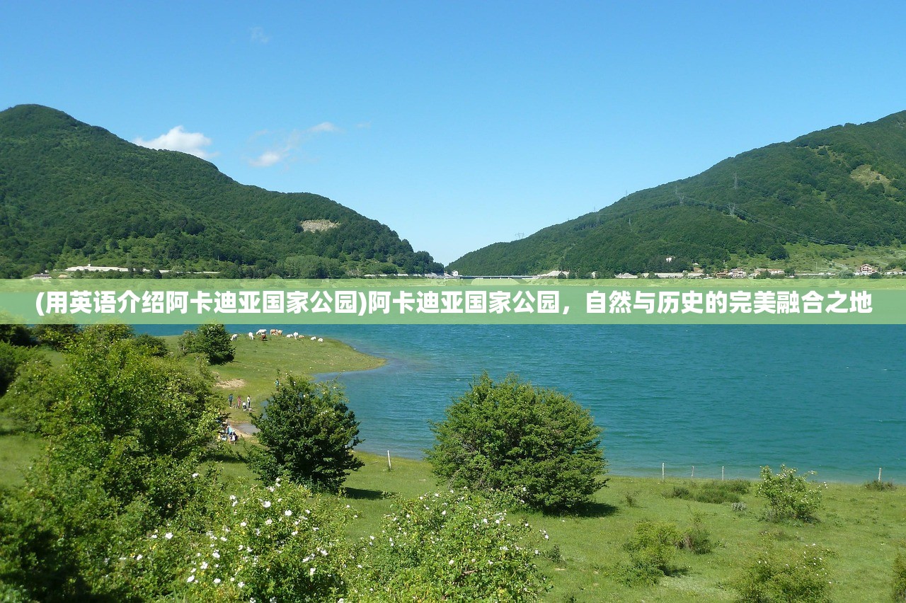 (这就是江湖游戏攻略枪法)这就是江湖游戏攻略，全方位指南与常见问题解答