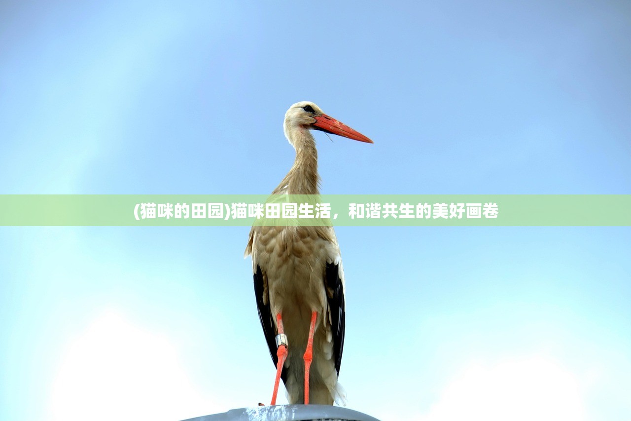 (三国群英传2水浒英雄传无限金币游戏介绍)三国群英传2与水浒英雄传,无限金币的魅力 (三国群英传2水浒英雄传无限金币游戏介绍)三国群英传2与水浒英雄传,无限金币的魅力