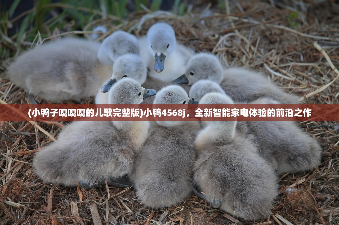(小鸭子嘎嘎嘎的儿歌完整版)小鸭4568j,全新智能家电体验的前沿之作 (小鸭子嘎嘎嘎的儿歌完整版)小鸭4568j,全新智能家电体验的前沿之作
