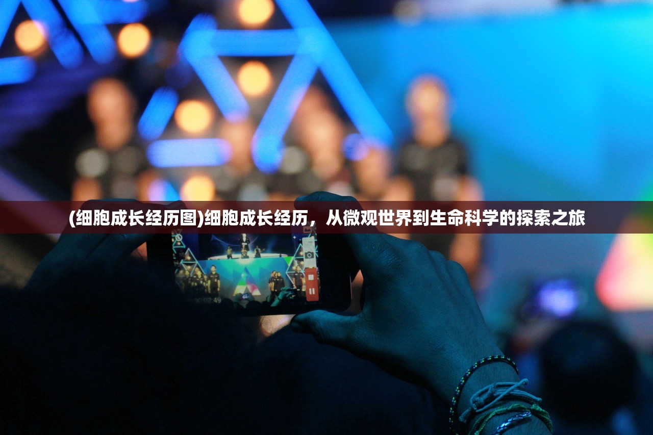 (精忠报国岳飞传破解版下载)精忠报国岳飞传破解版,历史与游戏的交融 (精忠报国岳飞传破解版下载)精忠报国岳飞传破解版,历史与游戏的交融