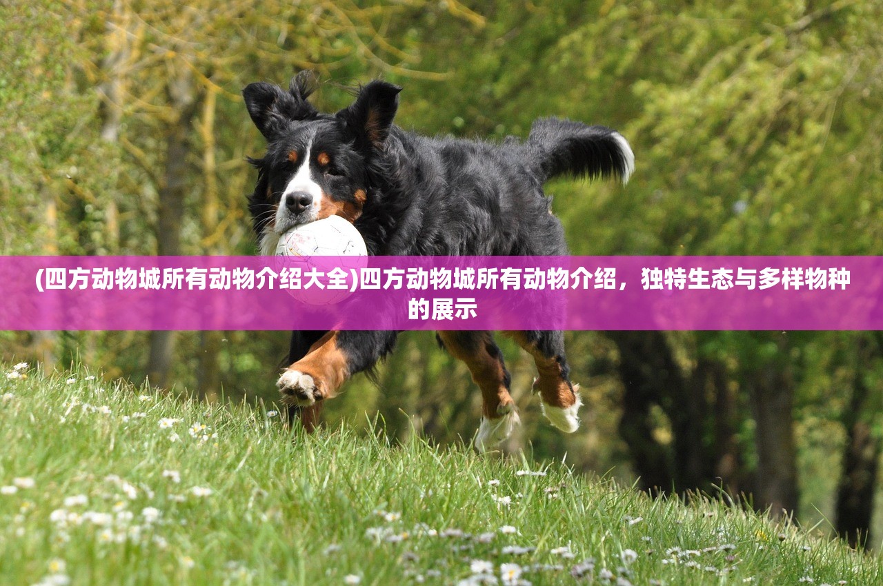 (四方动物城所有动物介绍大全)四方动物城所有动物介绍，独特生态与多样物种的展示