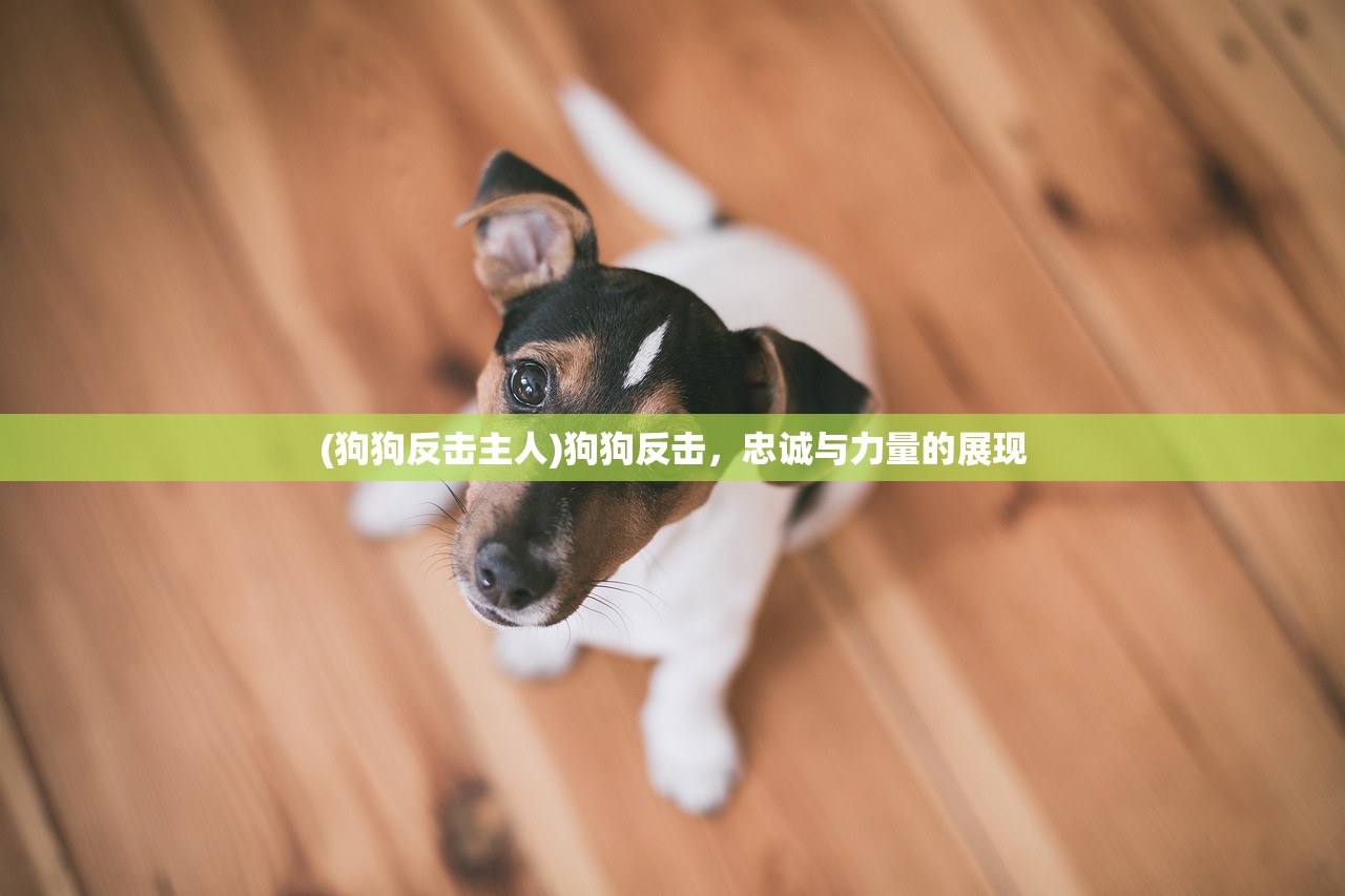 (狗狗反击主人)狗狗反击，忠诚与力量的展现