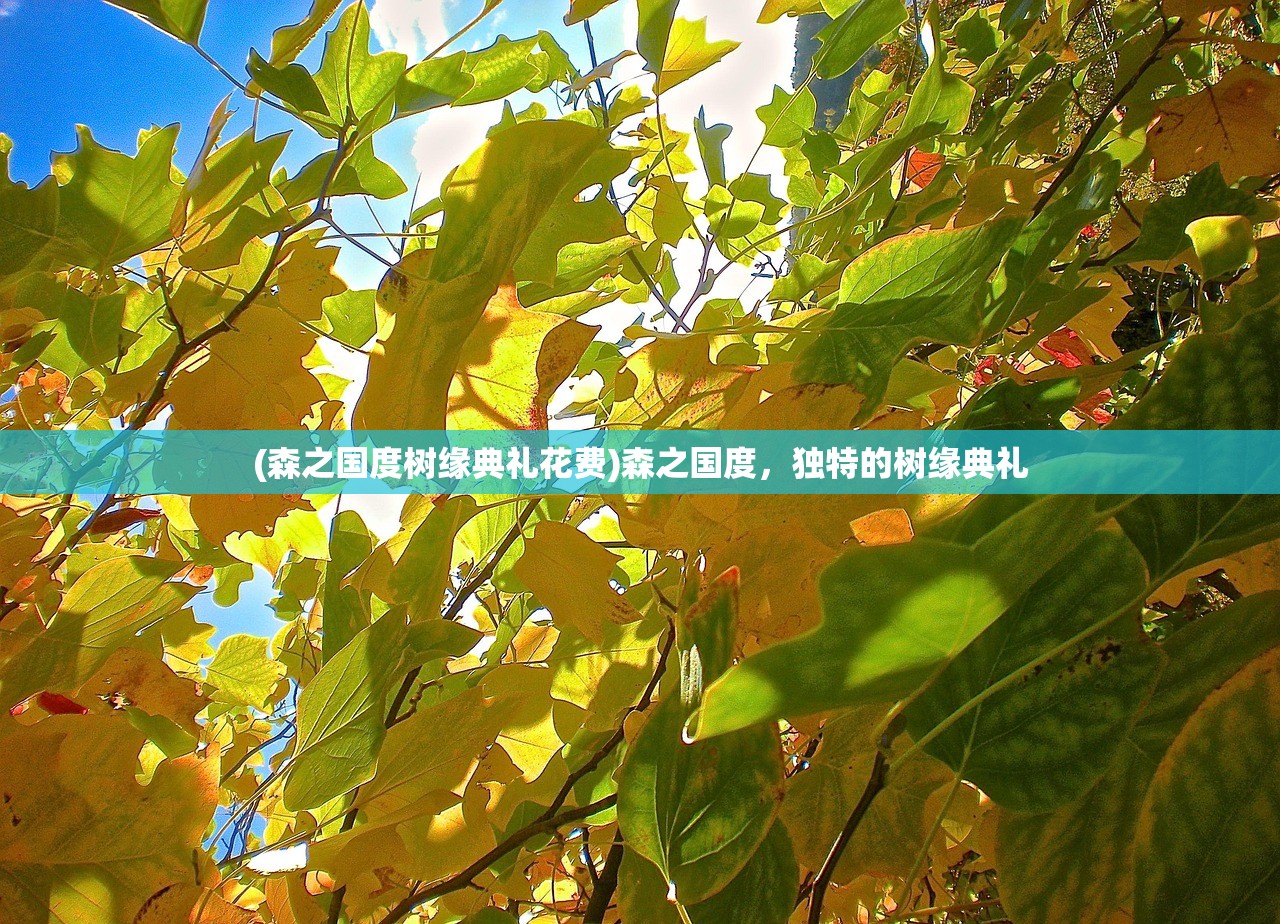 (暖雪各流派顶级搭配攻略)暖雪各流派顶级搭配详解及策略探讨
