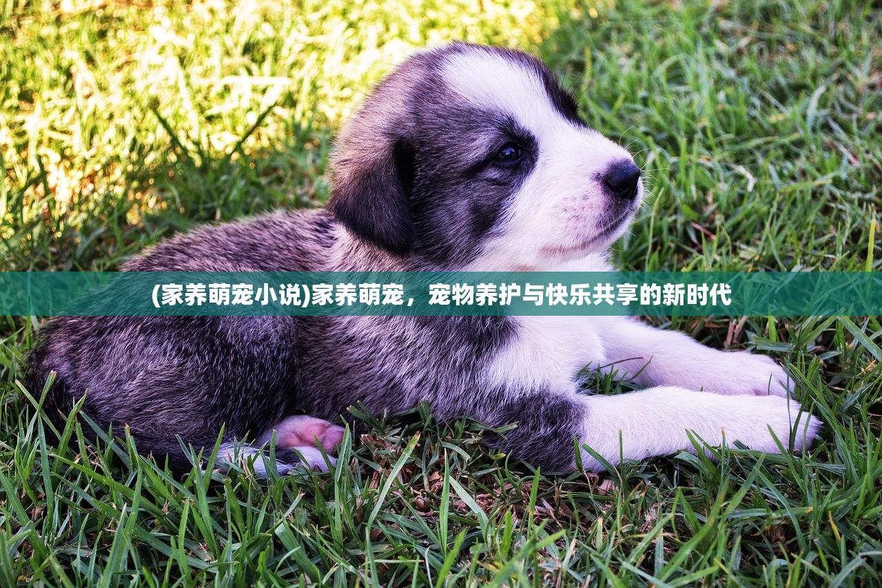 (暖雪各流派顶级搭配攻略)暖雪各流派顶级搭配详解及策略探讨