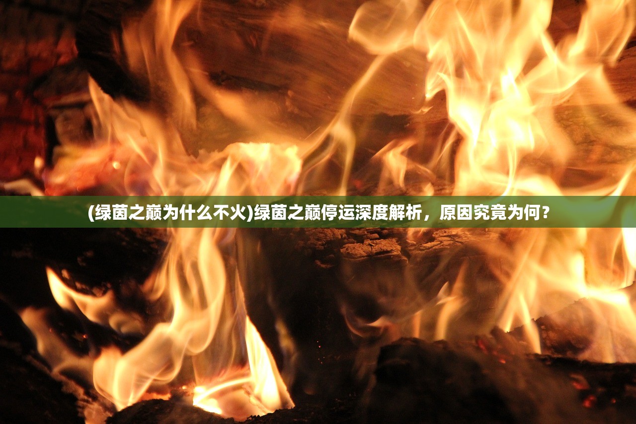 (重生贵女攻略书评最新)重生贵女攻略书评，穿越时代的智慧与魅力