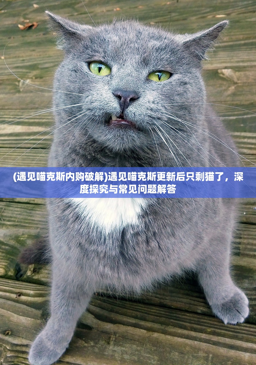 (狂野飙车9竞速传奇车辆推荐)狂野飙车9竞速传奇车牌，速度与荣耀的象征