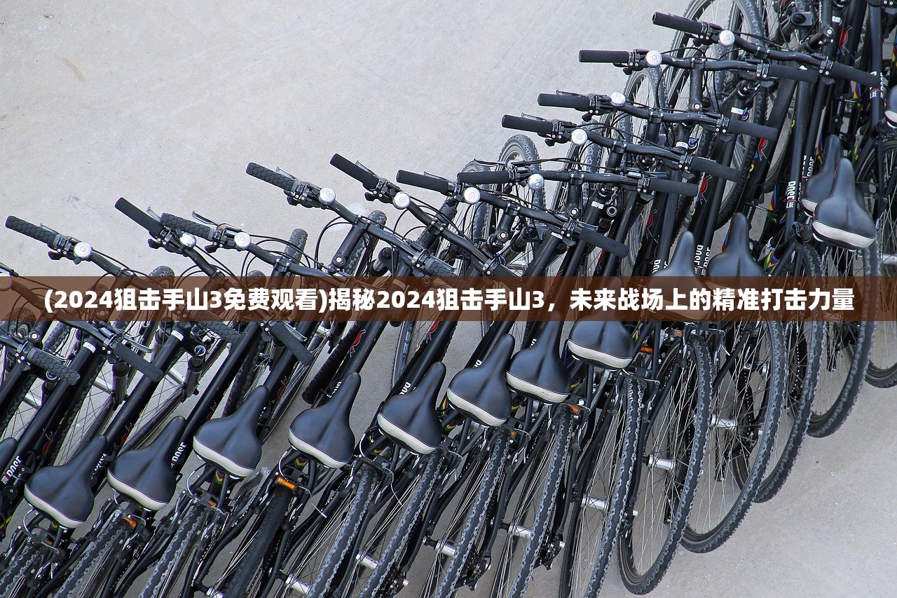 (武圣屠龙手机版官网)武圣屠龙单机版，深度解析与常见问题解答