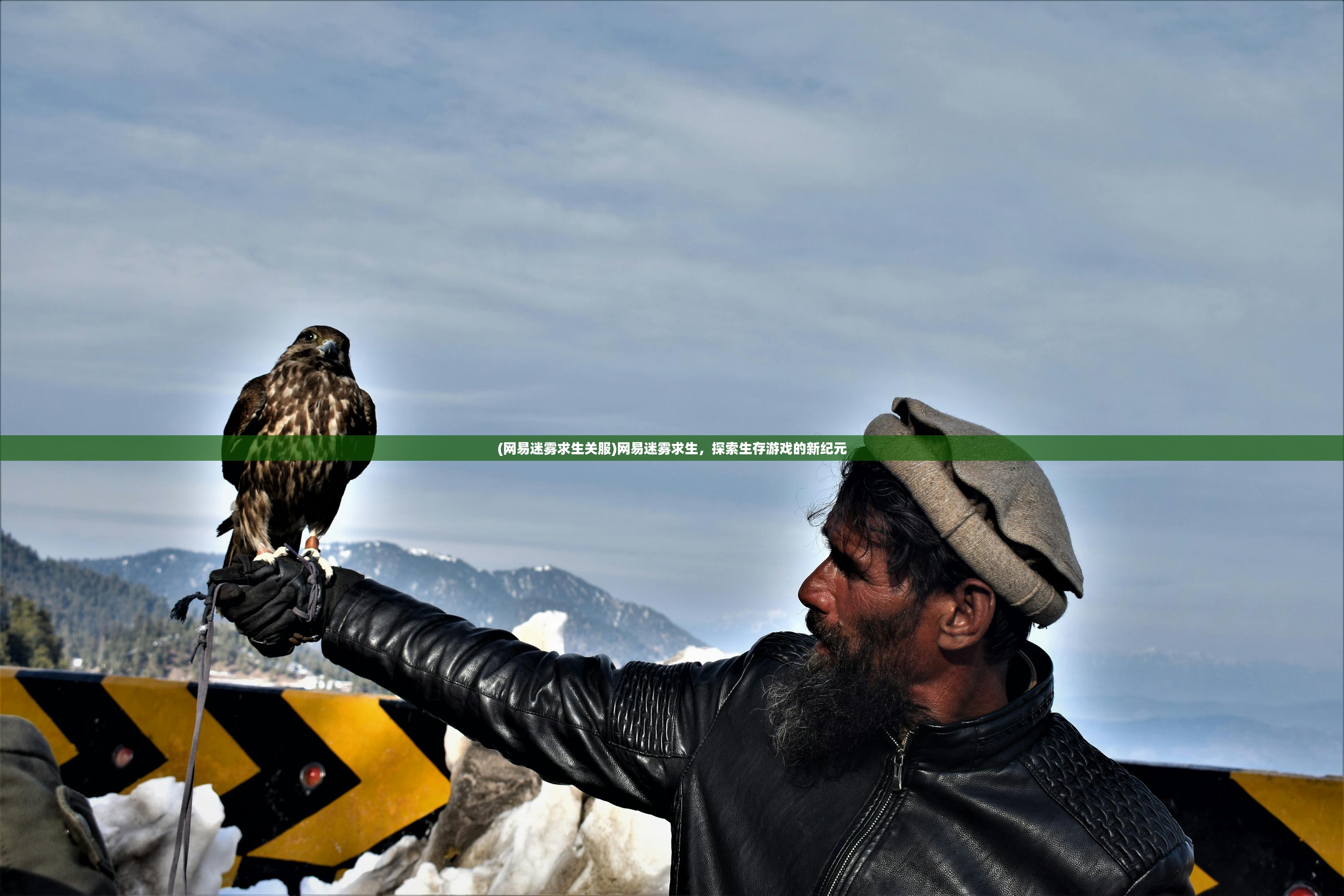 (网易迷雾求生关服)网易迷雾求生，探索生存游戏的新纪元