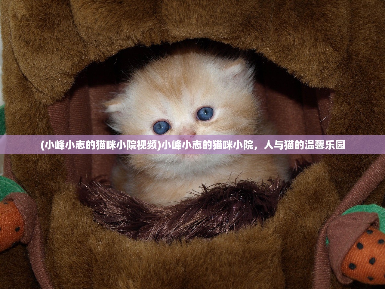 (假面召唤攻略图文)假面召唤攻略详解，从入门到精通的全方位指南
