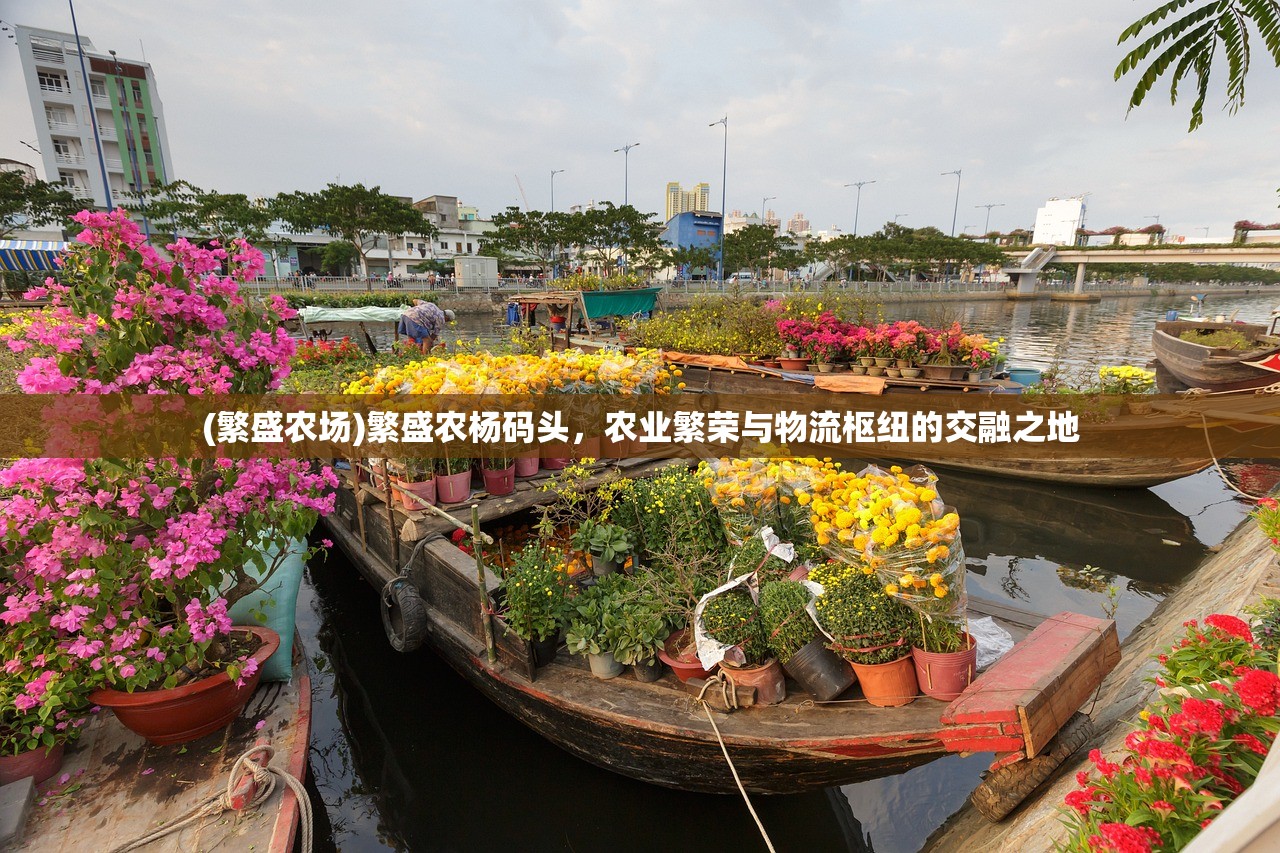 (大话白蛇手游攻略)大话白蛇手游，深度探索与常见问题解答
