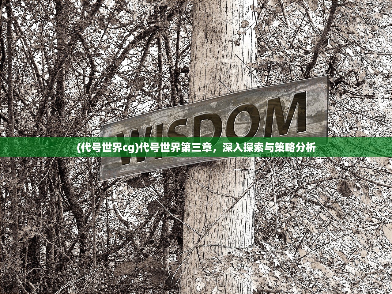 (幻梦物语是什么东西)幻梦，探索梦境的奥秘与意义