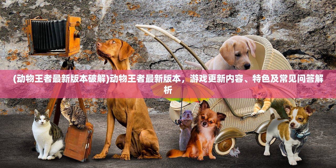 (昆顿之杖手游攻略)昆顿之杖游戏攻略，玩转这款神秘游戏