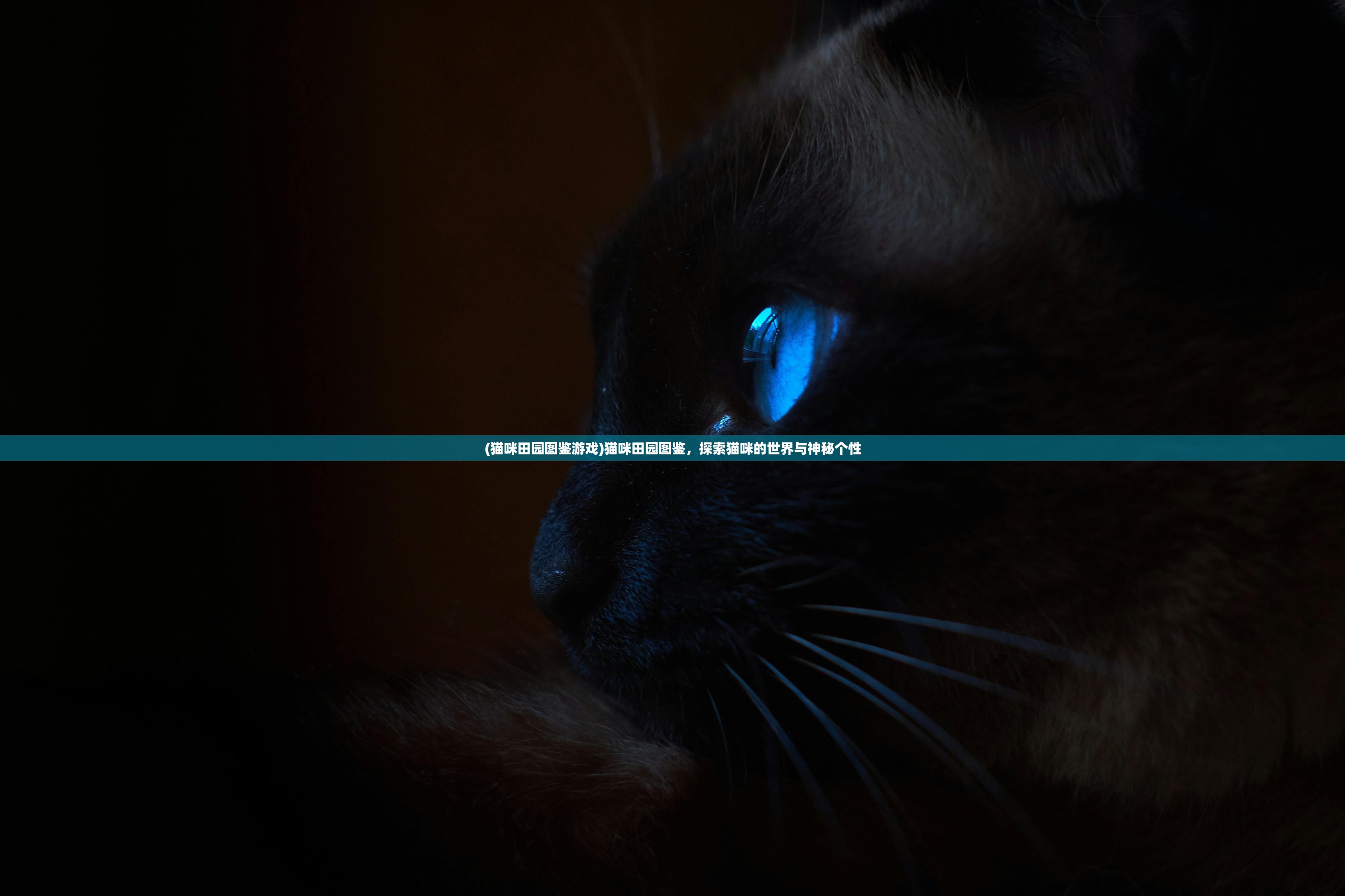 (少年三国志2阵容推荐最新2024)少年三国志2，最佳阵容推荐与策略分析