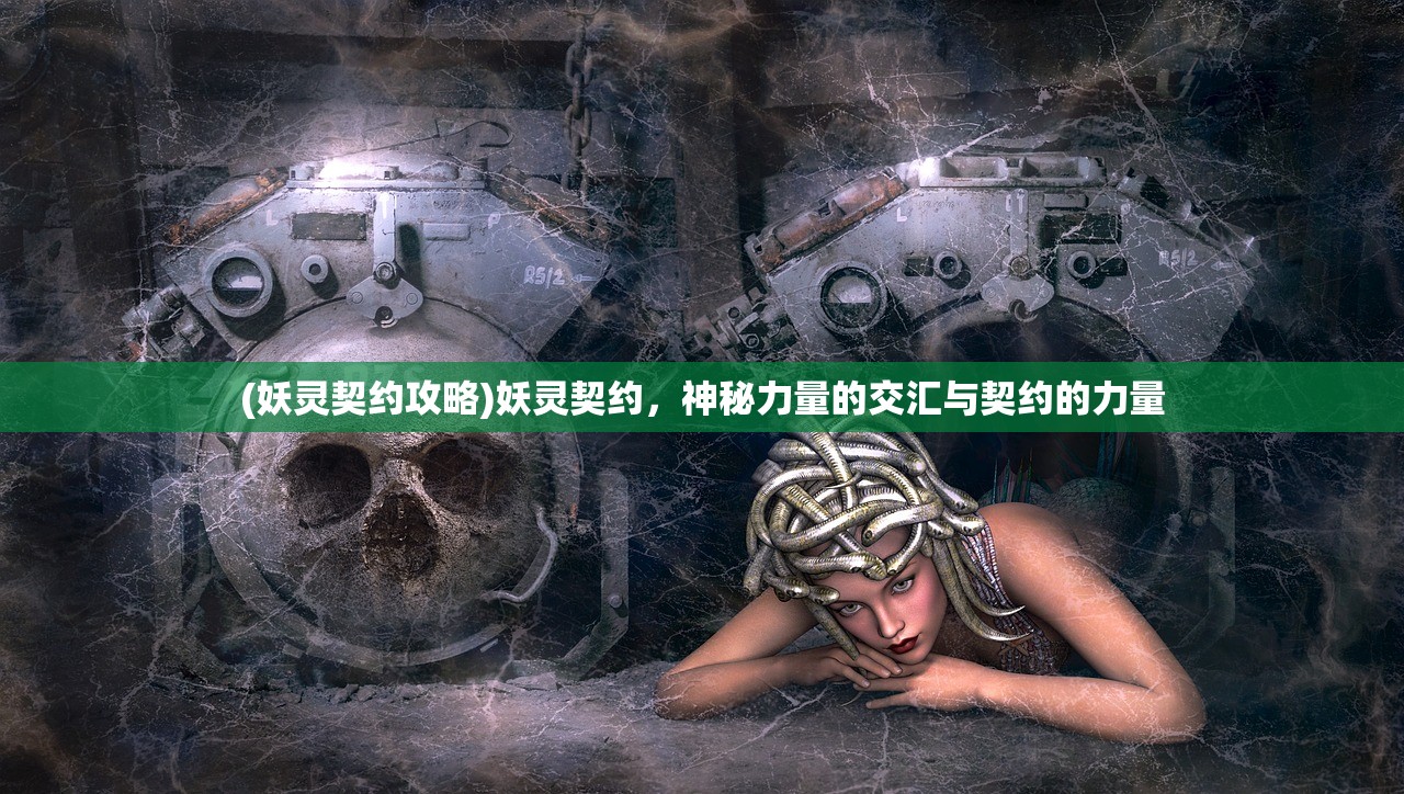 (功夫之夜最强UR攻略流程详解)功夫之夜最强UR，一场热血的竞技盛宴