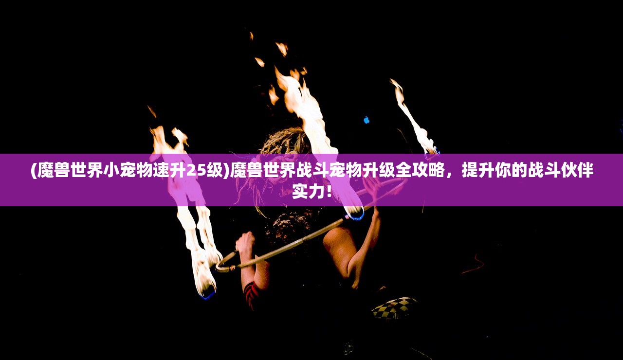 (梦幻之城游戏币)梦幻之城游戏,探索虚拟世界的魅力之旅 (梦幻之城游戏币)梦幻之城游戏,探索虚拟世界的魅力之旅