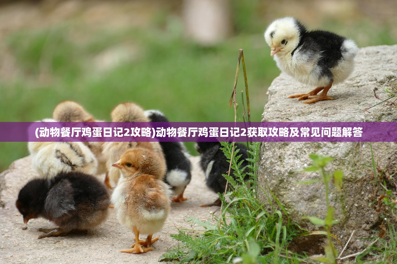 (代号西游满v版)代号西游内测，深度探索游戏新纪元