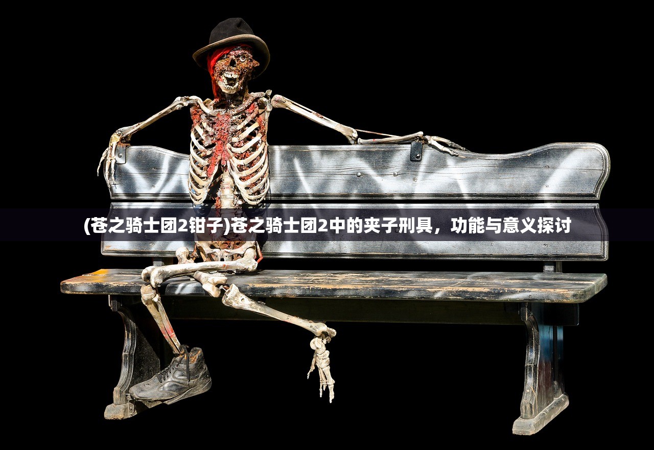 (苍之骑士团2钳子)苍之骑士团2中的夹子刑具，功能与意义探讨