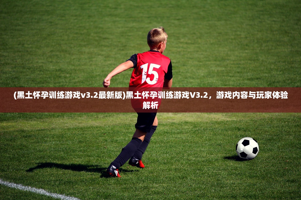 (艾比枪套)艾比之星中的脉冲枪,深入解析与探讨 (艾比枪套)艾比之星中的脉冲枪,深入解析与探讨