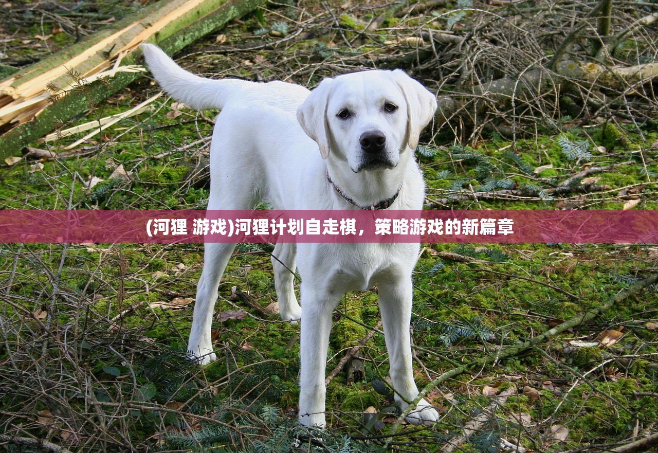 (妃十三学园下载安装)妃十三学园无限钻石，游戏魅力与探索