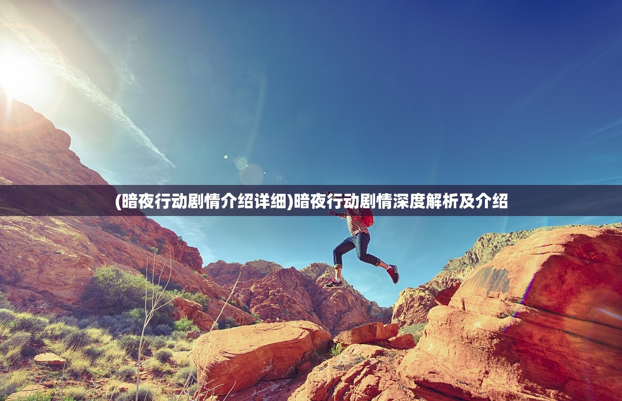 (暗夜行动剧情介绍详细)暗夜行动剧情深度解析及介绍