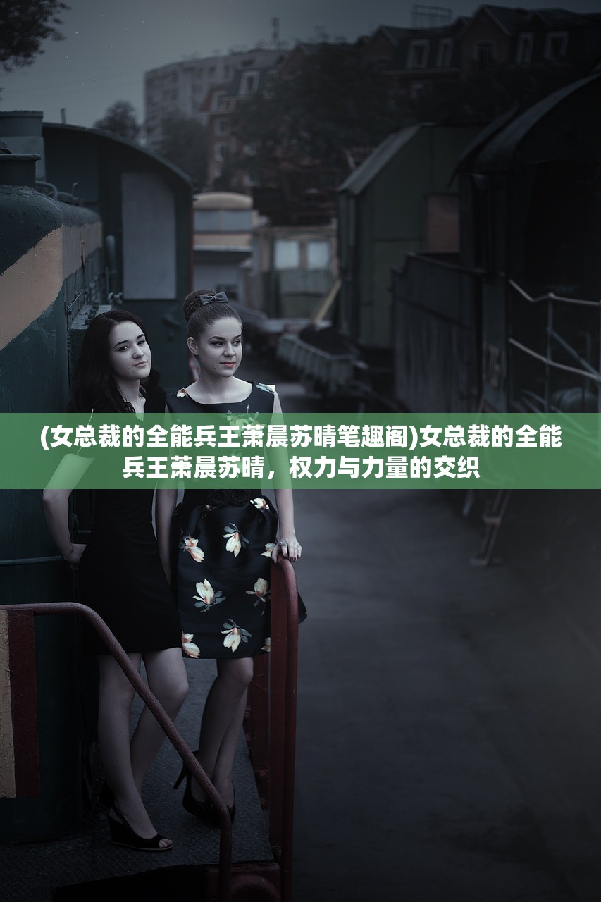 (女总裁的全能兵王萧晨苏晴笔趣阁)女总裁的全能兵王萧晨苏晴,权力与力量的交织 (女总裁的全能兵王萧晨苏晴笔趣阁)女总裁的全能兵王萧晨苏晴,权力与力量的交织