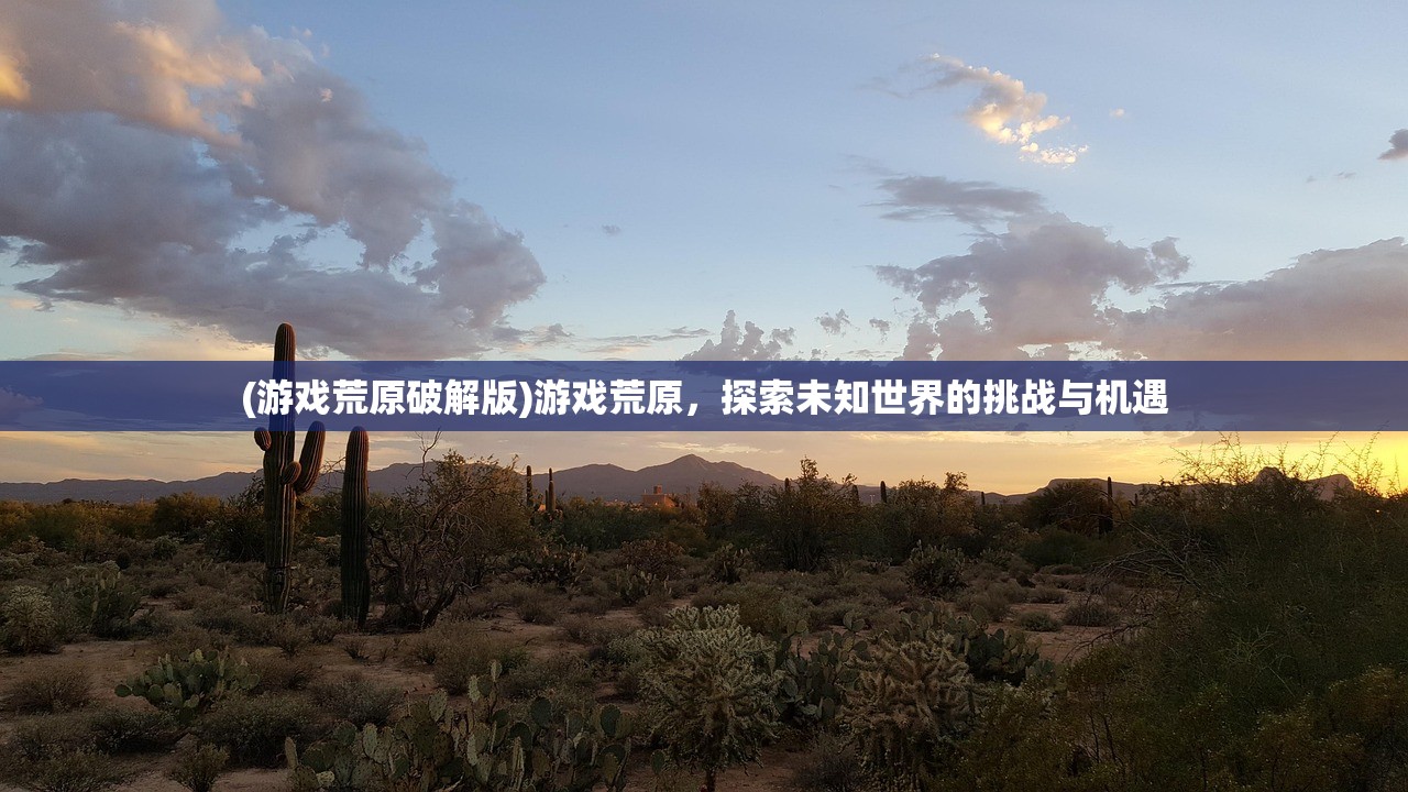(王者荣耀cbd什么意思)王者CBD是什么意思，游戏术语解析与探讨