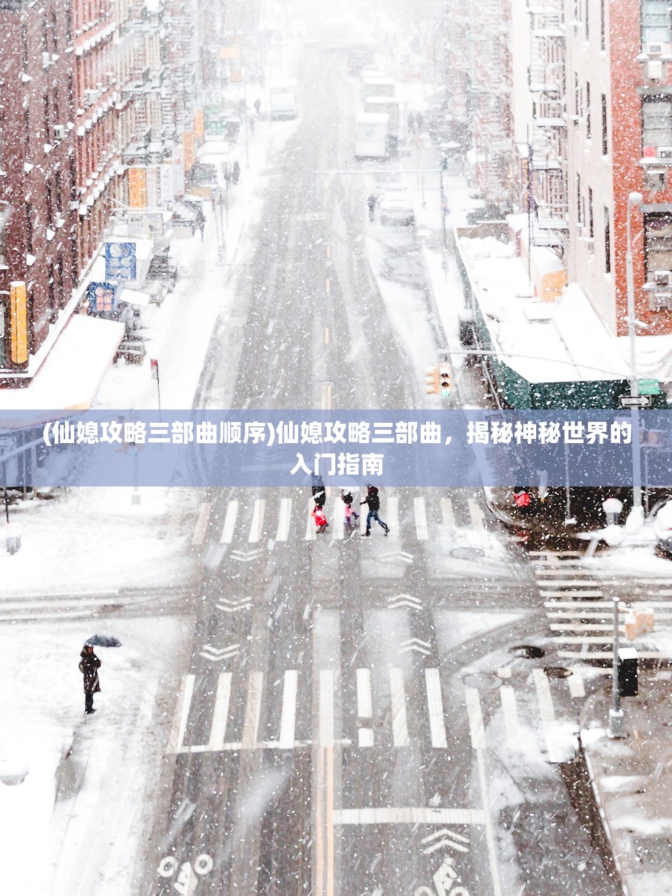 (选技大乱斗攻略 各流派克制)选技大乱斗攻略大全，从入门到精通的全面指南