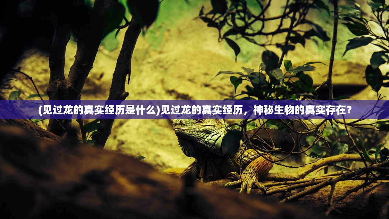 (选技大乱斗攻略 各流派克制)选技大乱斗攻略大全，从入门到精通的全面指南