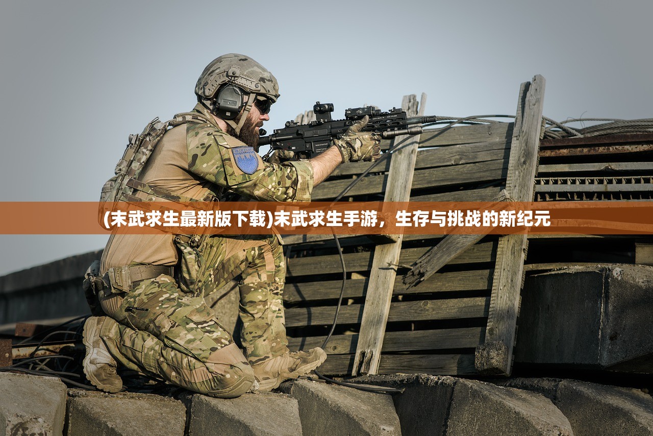 (闪乱神乐玩哪个)关于闪乱神乐系列游戏的哪部更好玩，深度分析与探讨