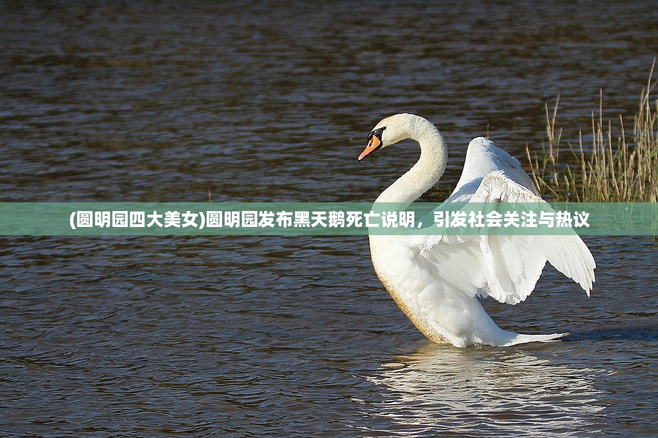 (以前有个老手游叫刀剑神域吗)以前有个老手游叫刀剑神域，回忆与探讨