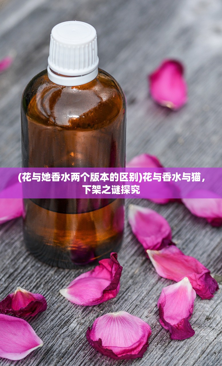 (真三国战记手游破解版)真三国战记内购版手游,深度解析与探索 (真三国战记手游破解版)真三国战记内购版手游,深度解析与探索