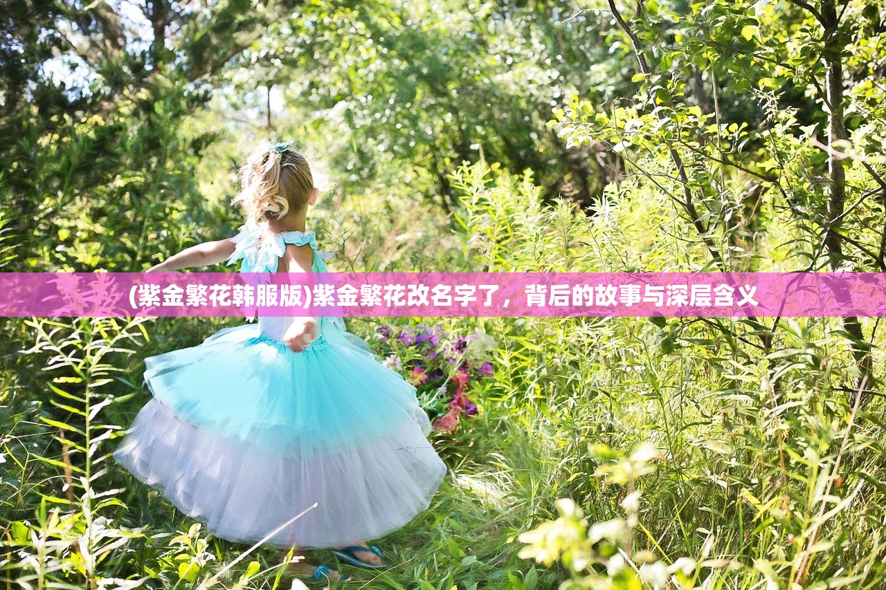 (黑风山副本详细攻略图解大全)黑风山副本详细攻略图解，探索副本，挑战自我