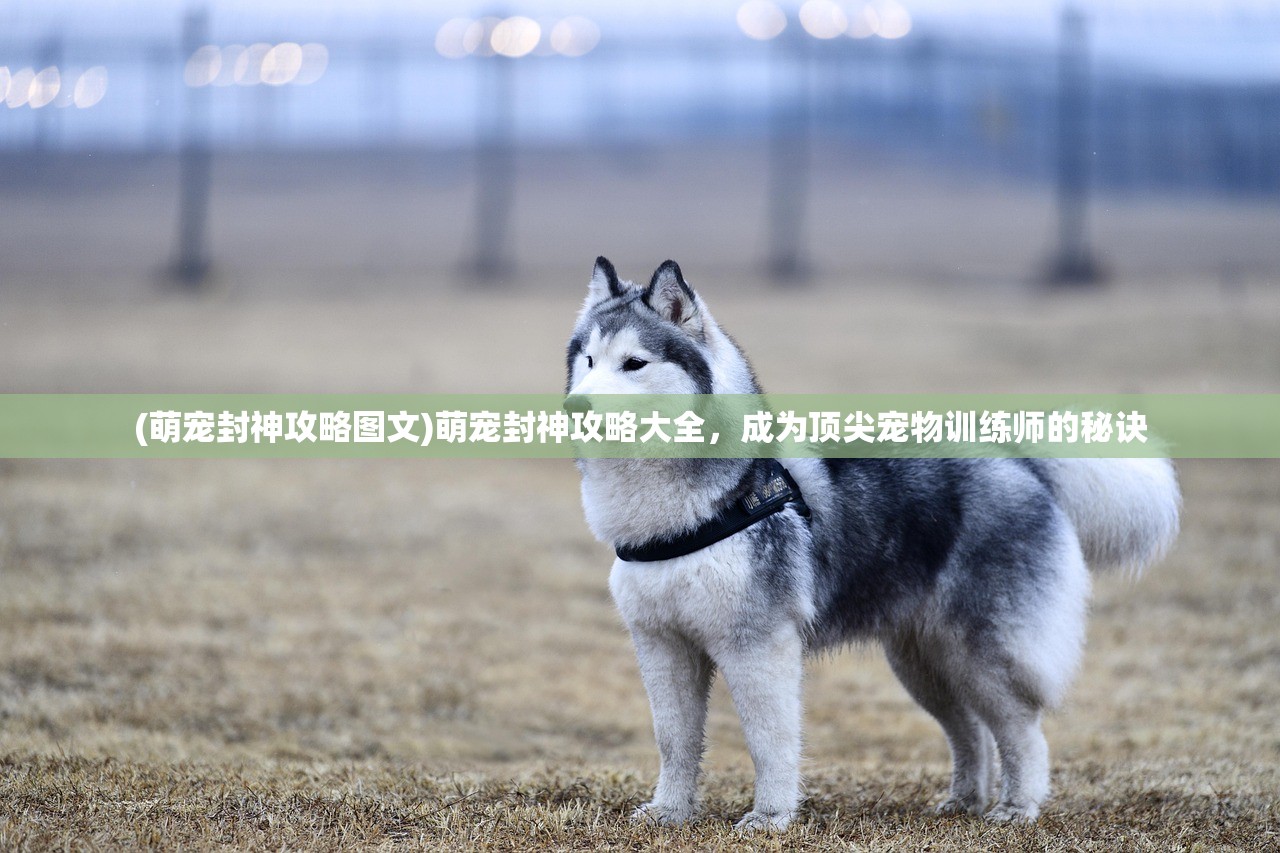 (逍遥八仙手游攻略视频)逍遥八仙手游攻略大全及常见问答(FAQ) (逍遥八仙手游攻略视频)逍遥八仙手游攻略大全及常见问答(FAQ)