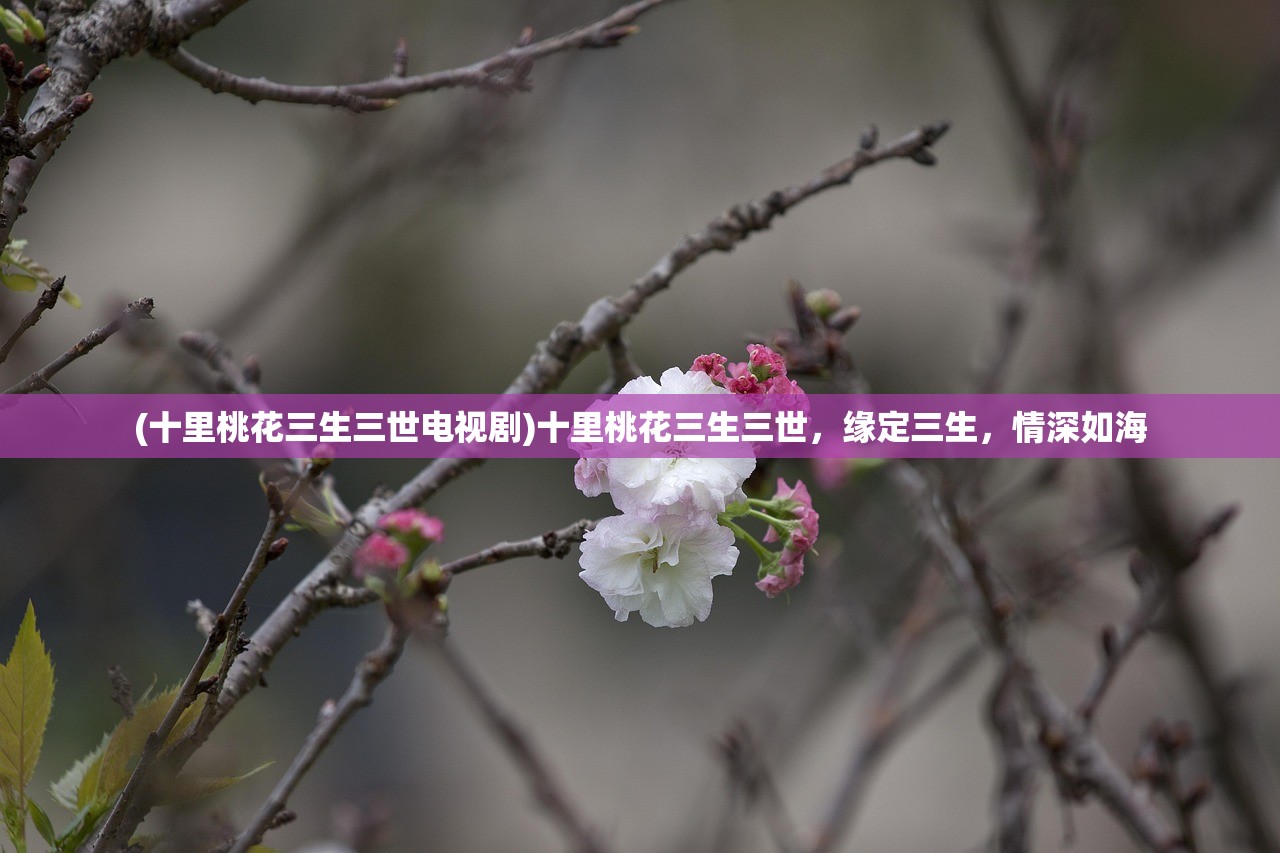 (魔天记百度百科柳鸣)魔天记，一部独特的奇幻世界探索之旅