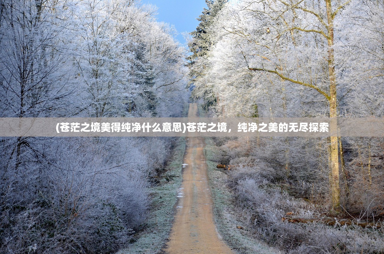 (苍茫之境美得纯净什么意思)苍茫之境,纯净之美的无尽探索 (苍茫之境美得纯净什么意思)苍茫之境,纯净之美的无尽探索