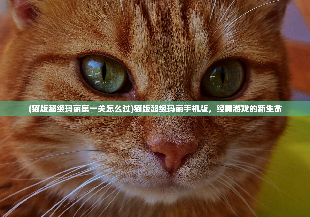 (猫版超级玛丽第一关怎么过)猫版超级玛丽手机版,经典游戏的新生命 (猫版超级玛丽第一关怎么过)猫版超级玛丽手机版,经典游戏的新生命