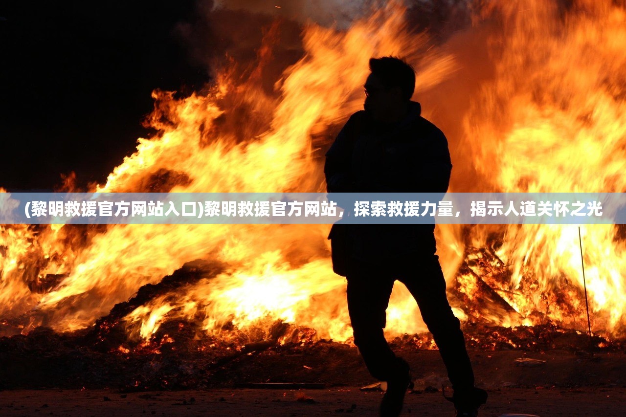 (黎明救援官方网站入口)黎明救援官方网站,探索救援力量,揭示人道关怀之光 (黎明救援官方网站入口)黎明救援官方网站,探索救援力量,揭示人道关怀之光
