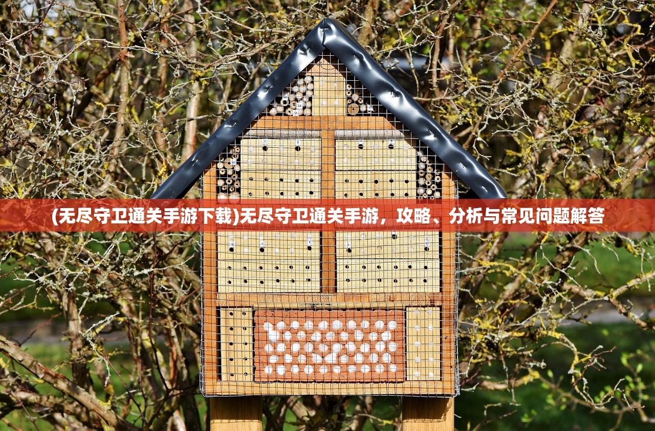 (无尽守卫通关手游下载)无尽守卫通关手游,攻略、分析与常见问题解答 (无尽守卫通关手游下载)无尽守卫通关手游,攻略、分析与常见问题解答