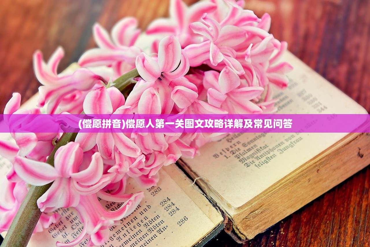 (偿愿拼音)偿愿人第一关图文攻略详解及常见问答