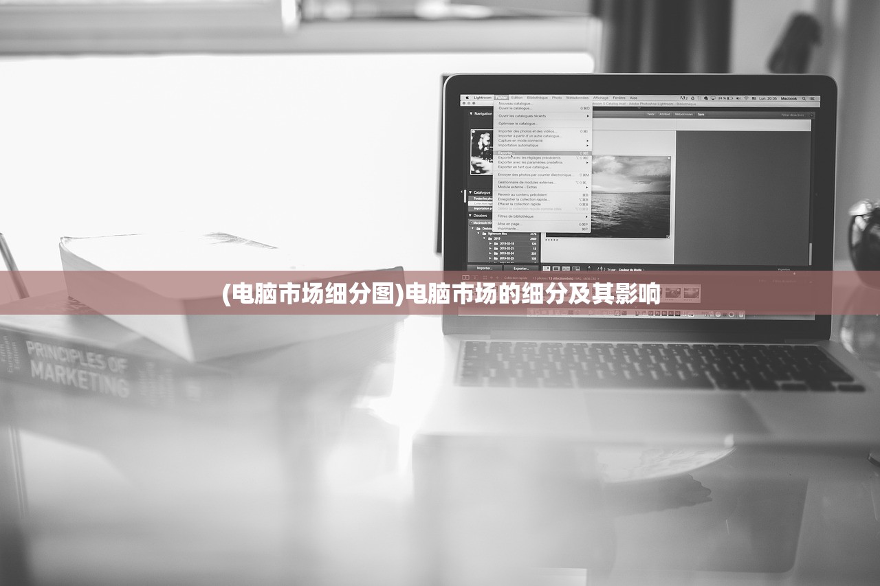 (电脑市场细分图)电脑市场的细分及其影响 (电脑市场细分图)电脑市场的细分及其影响