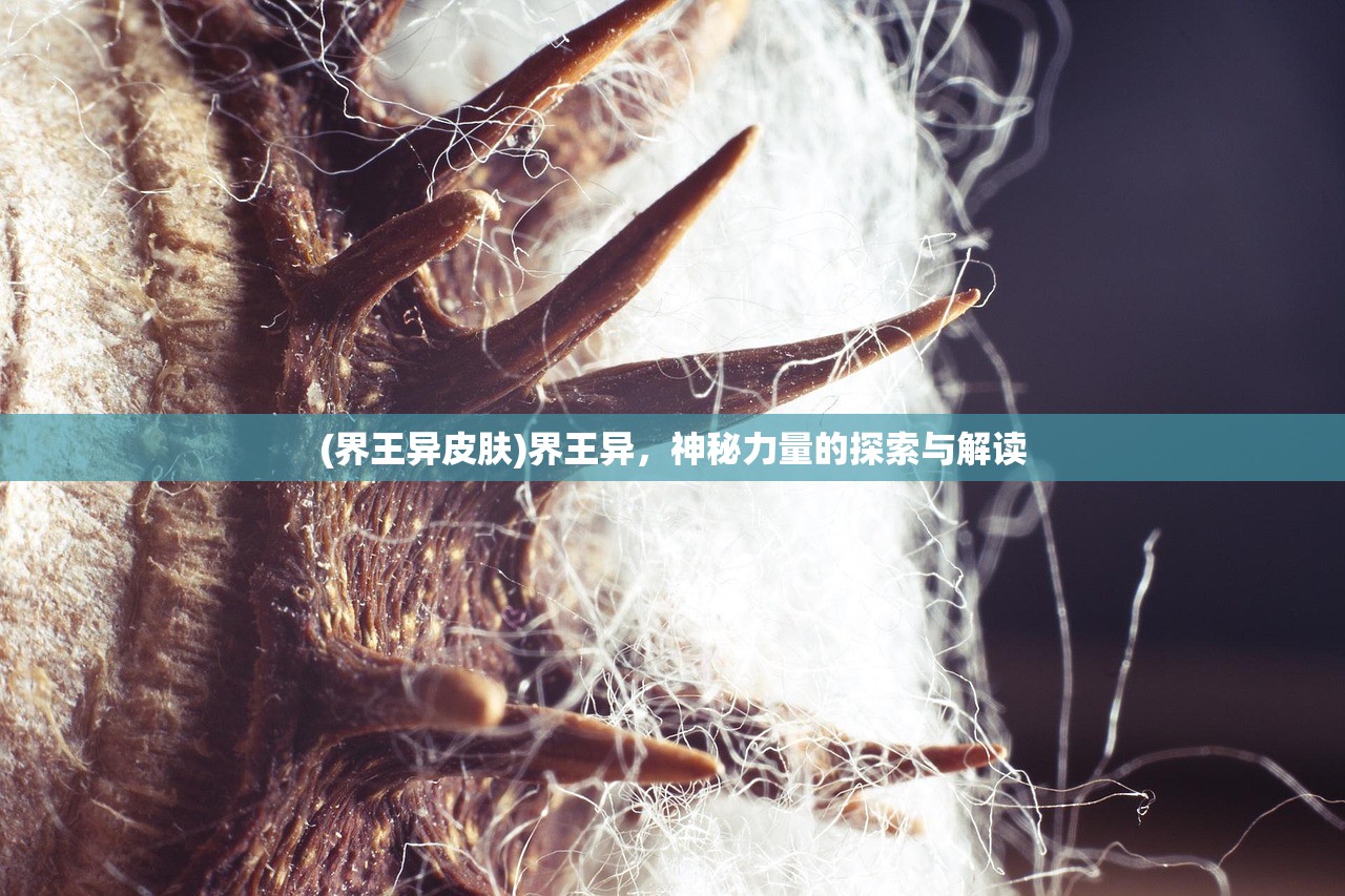 (界王异皮肤)界王异，神秘力量的探索与解读