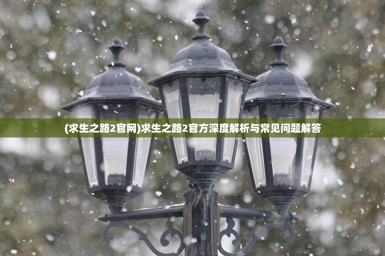 (求生之路2官网)求生之路2官方深度解析与常见问题解答